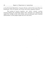 17516_OBJ-Thumbnail Image.jpg
