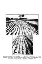 17519_OBJ-Thumbnail Image.jpg