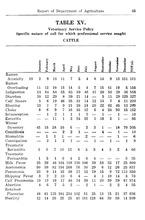 17552_OBJ-Thumbnail Image.jpg