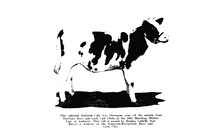 17569_OBJ-Thumbnail Image.jpg