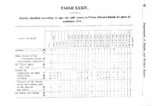 17747_OBJ-Thumbnail Image.jpg