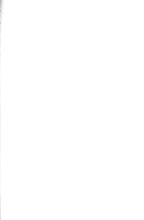 17948_OBJ-Thumbnail Image.jpg