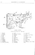 17952_OBJ-Thumbnail Image.jpg