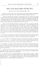 18097_OBJ-Thumbnail Image.jpg