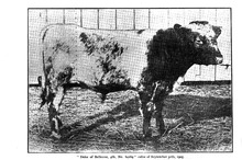 18114_OBJ-Thumbnail Image.jpg
