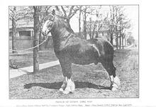 18121_OBJ-Thumbnail Image.jpg