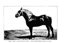 18216_OBJ-Thumbnail Image.jpg