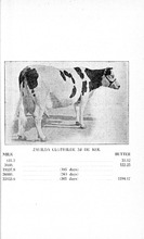 18458_OBJ-Thumbnail Image.jpg
