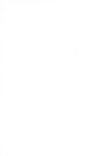18499_OBJ-Thumbnail Image.jpg