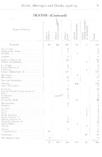 18511_OBJ-Thumbnail Image.jpg