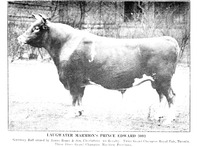 18605_OBJ-Thumbnail Image.jpg