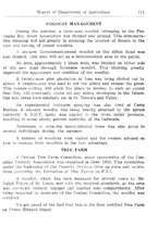 18853_OBJ-Thumbnail Image.jpg