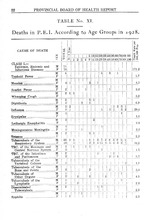 18963_OBJ-Thumbnail Image.jpg