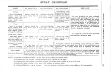 19006_OBJ-Thumbnail Image.jpg