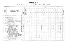 19141_OBJ-Thumbnail Image.jpg