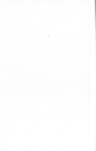 19553_OBJ-Thumbnail Image.jpg