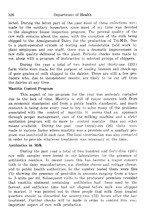 1956_OBJ-Thumbnail Image.jpg