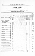 19575_OBJ-Thumbnail Image.jpg