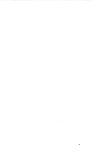19586_OBJ-Thumbnail Image.jpg