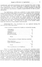 19728_OBJ-Thumbnail Image.jpg