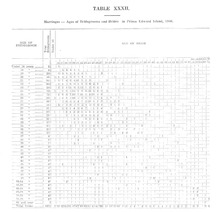 19734_OBJ-Thumbnail Image.jpg