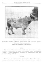 19748_OBJ-Thumbnail Image.jpg