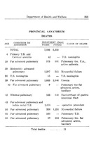 19785_OBJ-Thumbnail Image.jpg