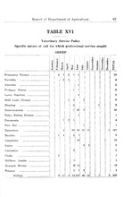 19827_OBJ-Thumbnail Image.jpg