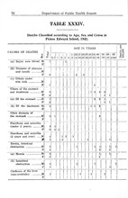 19845_OBJ-Thumbnail Image.jpg