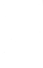 19928_OBJ-Thumbnail Image.jpg