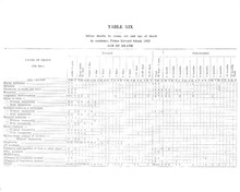 20380_OBJ-Thumbnail Image.jpg
