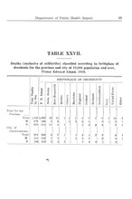 20464_OBJ-Thumbnail Image.jpg