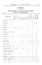 20571_OBJ-Thumbnail Image.jpg