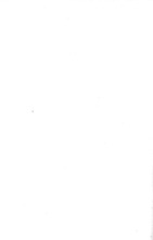 20853_OBJ-Thumbnail Image.jpg