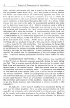 21108_OBJ-Thumbnail Image.jpg