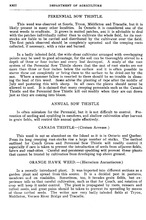 21213_OBJ-Thumbnail Image.jpg