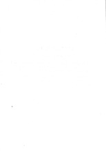 21215_OBJ-Thumbnail Image.jpg