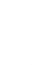 21228_OBJ-Thumbnail Image.jpg