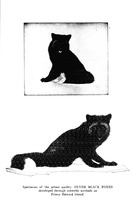 21260_OBJ-Thumbnail Image.jpg