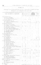 21385_OBJ-Thumbnail Image.jpg