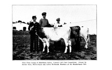 2141_OBJ-Thumbnail Image.jpg