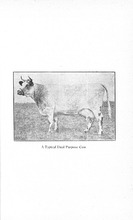 21440_OBJ-Thumbnail Image.jpg