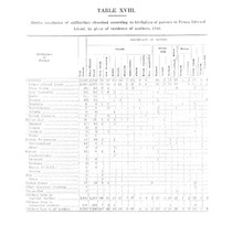 21597_OBJ-Thumbnail Image.jpg
