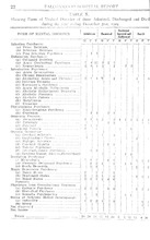 21818_OBJ-Thumbnail Image.jpg