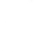 21891_OBJ-Thumbnail Image.jpg