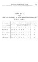 21916_OBJ-Thumbnail Image.jpg