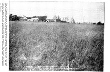 22179_OBJ-Thumbnail Image.jpg