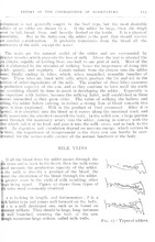 22248_OBJ-Thumbnail Image.jpg