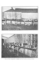 22325_OBJ-Thumbnail Image.jpg