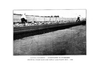22373_OBJ-Thumbnail Image.jpg